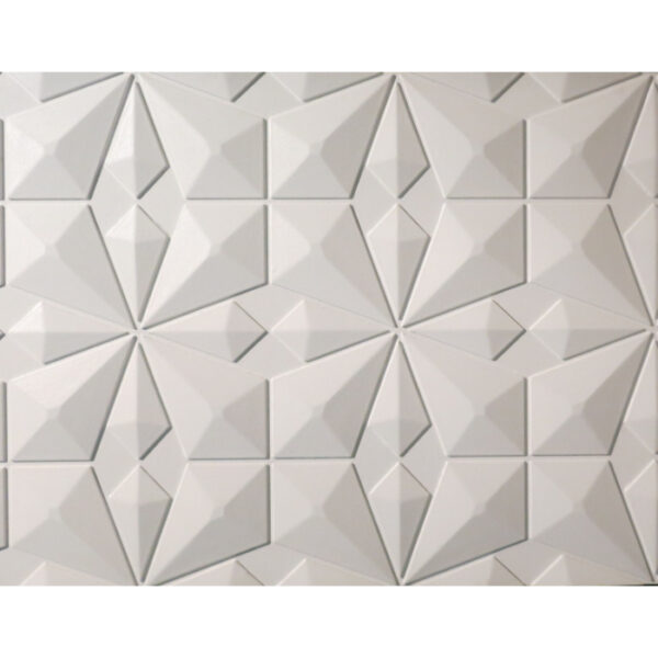 DP -123 - Image 2